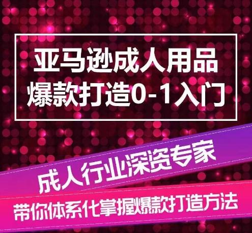 亚马逊成人用品爆款打造0-1入门，系统化讲解亚马逊成人用品爆款打造的流程-点子口袋网