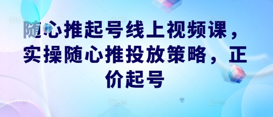 随心推起号线上视频课，实操随心推投放策略，正价起号-点子口袋网