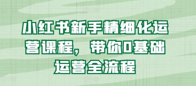 小红书新手精细化运营课程，带你0基础运营全流程-点子口袋网