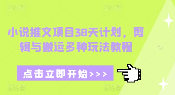 小说推文项目38天计划，剪辑与搬运多种玩法教程-点子口袋网