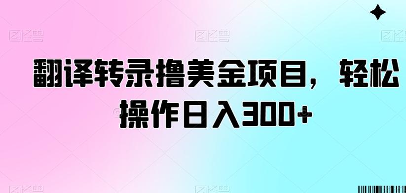 翻译转录撸美金项目，轻松操作日入300+【揭秘】-点子口袋网