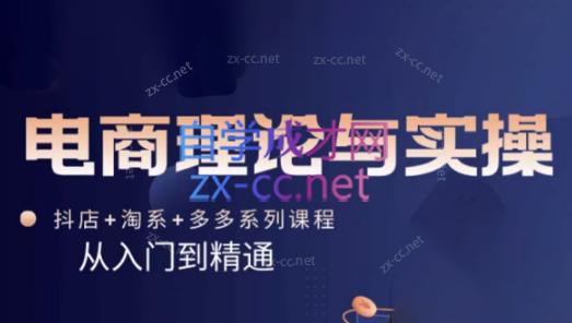 磊子·电商理论与实操(抖店+淘系+拼多多)-点子口袋网
