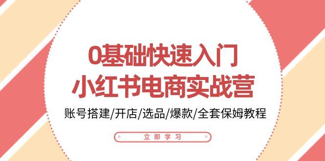 0基础快速入门-小红书电商实战营：账号搭建/开店/选品/爆款/全套保姆教程-点子口袋网