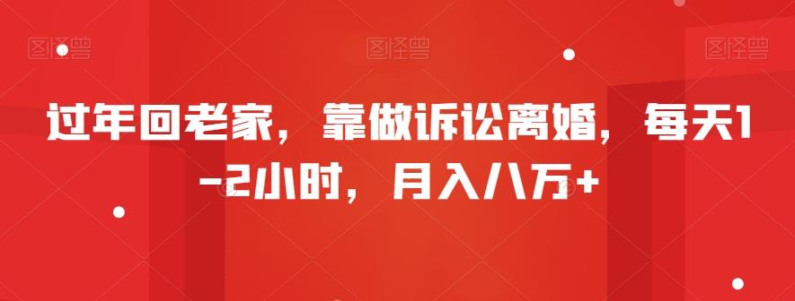 过年回老家，靠做诉讼离婚，每天1-2小时，月入八万+-点子口袋网