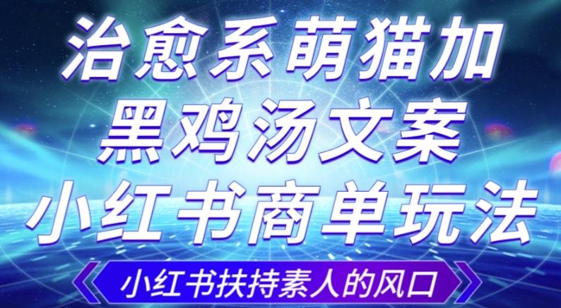 治愈系萌猫加+黑鸡汤文案，小红书商单玩法，3~10天涨到1000粉，一单200左右-点子口袋网