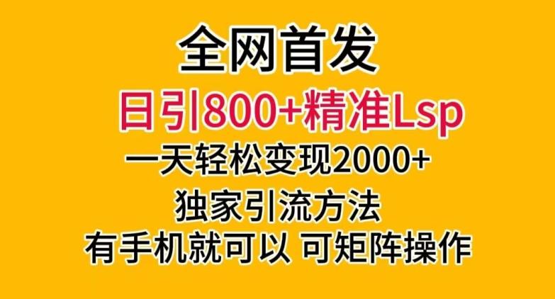 全网首发！日引800+精准老色批，一天变现2000+，独家引流方法，可矩阵操作【揭秘】-点子口袋网