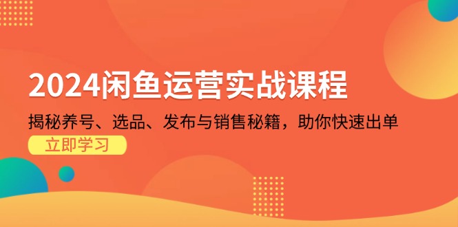 2024闲鱼运营实战课程：揭秘养号、选品、发布与销售秘籍，助你快速出单-点子口袋网