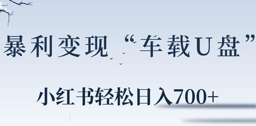 小红书“车载U盘”暴利引流，日入700+-点子口袋网