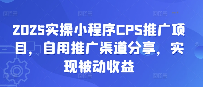 2025实操小程序CPS推广项目，自用推广渠道分享，实现被动收益-点子口袋网
