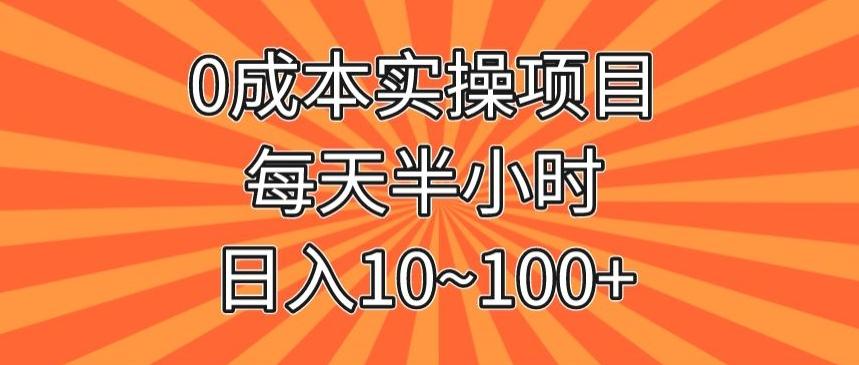 0成本实操项目，每天半小时，日入10~100+-点子口袋网