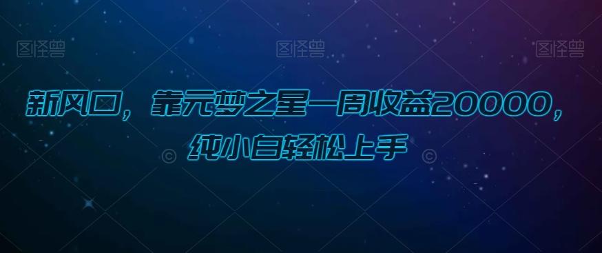 新风口，靠元梦之星一周收益20000，纯小白轻松上手-点子口袋网