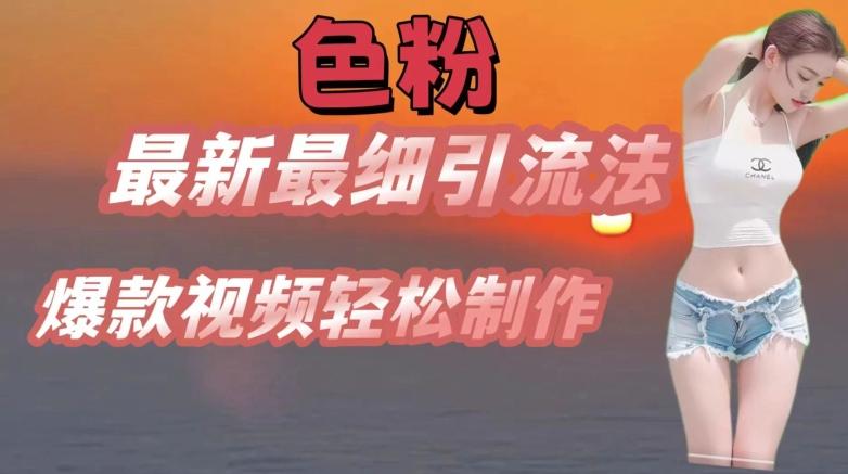 se粉最新最细引流法，七天螺旋起号法，爆款视频轻松制作【揭秘】-点子口袋网
