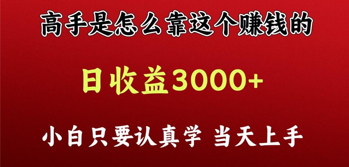 看高手是怎么赚钱的，一天收益至少3000+以上，小白当天上手-点子口袋网