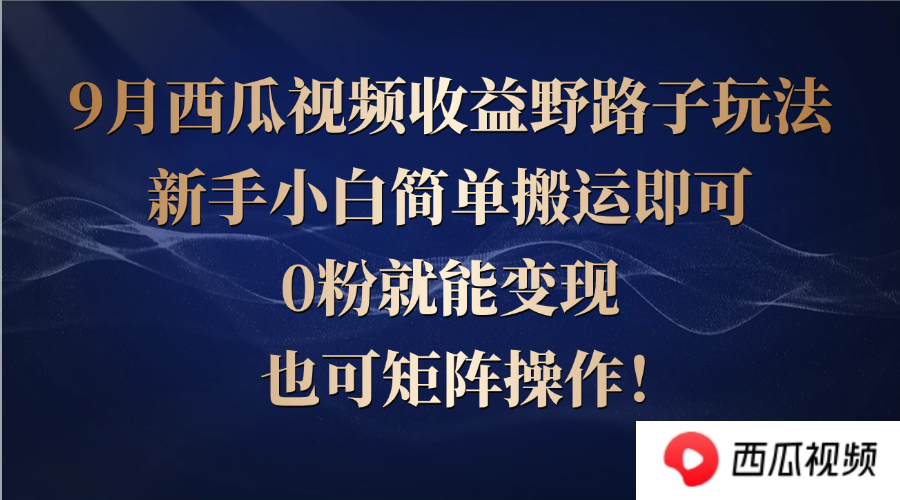 西瓜视频收益野路子玩法，新手小白简单搬运即可，0粉就能变现，也可矩...-点子口袋网