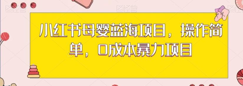 小红书母婴蓝海项目，操作简单，0成本暴力项目-点子口袋网