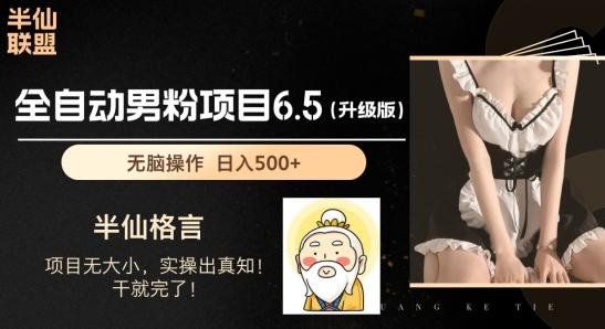 男粉项目6.5升级版，全自动男粉项目，日收入1K+【揭秘】-点子口袋网