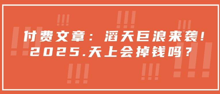 付费文章：滔天巨浪来袭！2025天上会掉钱吗？-点子口袋网