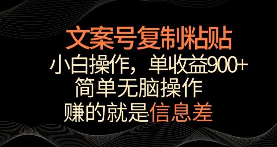 文案号掘金，简单复制粘贴，小白操作，单作品收益900+【揭秘】-点子口袋网
