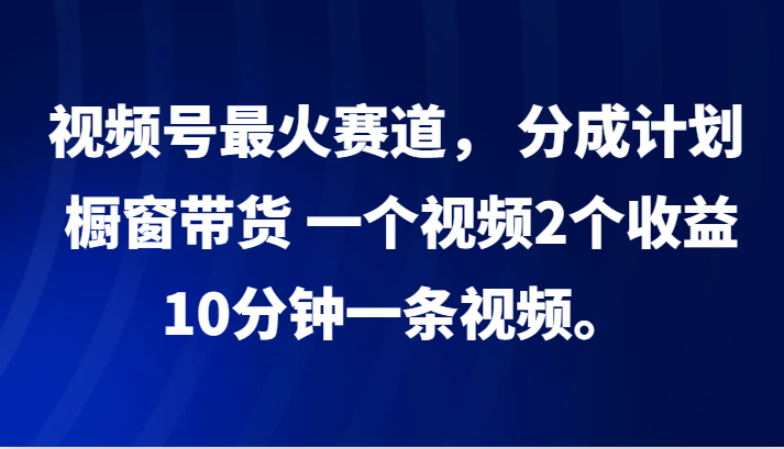 视频号最火赛道， 分成计划， 橱窗带货，一个视频2个收益，10分钟一条视频。-点子口袋网