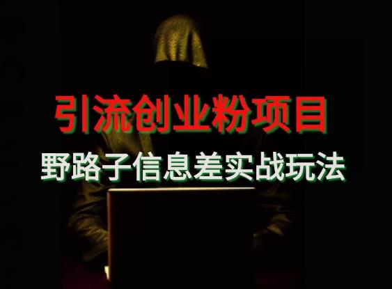 【引流创业粉】野路子信息差玩法实战教学-点子口袋网