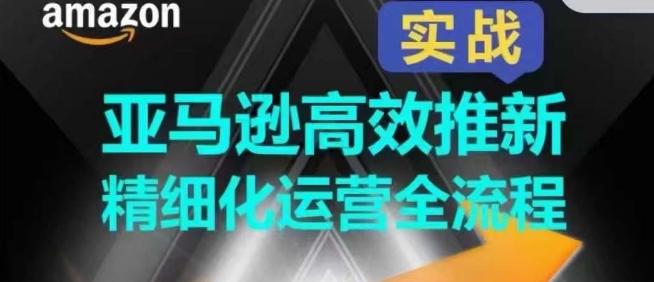 亚马逊高效推新精细化运营全流程，全方位、快速拉升产品排名和销量!-点子口袋网