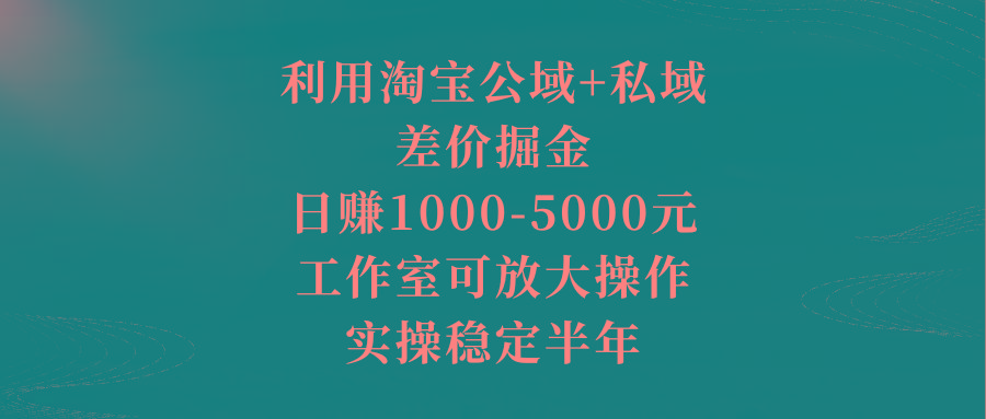 利用淘宝公域+私域差价掘金，日赚1000-5000元，工作室可放大操作，实操...-点子口袋网