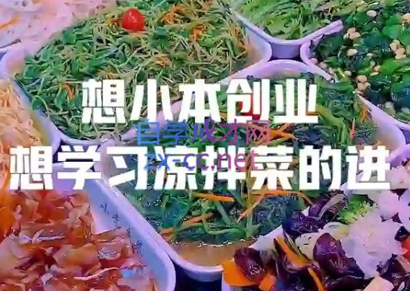 李记·精品凉拌菜系列热卤系列教程-点子口袋网