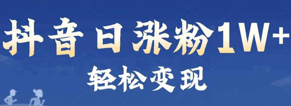 首发抖音新赛道日涨粉1W+轻松变现-点子口袋网
