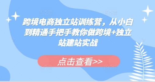 跨境电商独立站训练营，从小白到精通手把手教你做跨境+独立站建站实战-点子口袋网