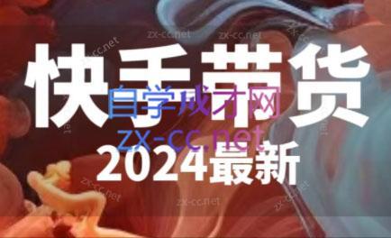快手带货(2024最新)-点子口袋网