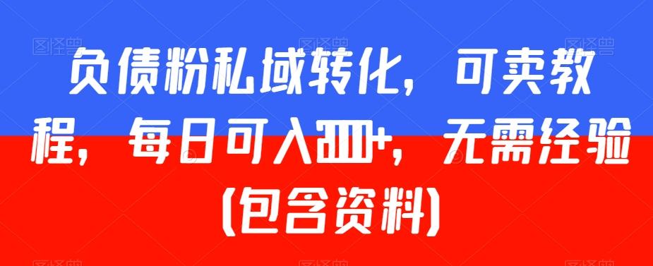 负债粉私域转化，可卖教程，每日可入2000+，无需经验（包含资料）【揭秘】-点子口袋网