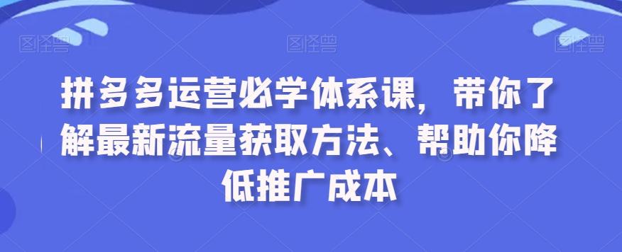 拼多多运营必学体系课，带你了解最新流量获取方法、帮助你降低推广成本-点子口袋网