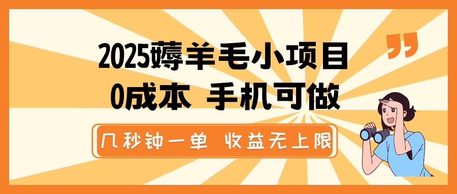 2025薅羊毛小项目，0成本 手机可做，几秒钟一单，收益无上限-点子口袋网