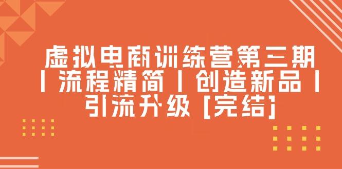 虚拟电商训练营第三期丨流程精简丨创造新品丨引流升级 [完结]-点子口袋网