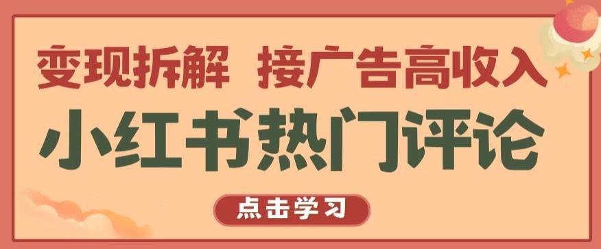 小红书热门评论，变现拆解，接广告高收入【揭秘 】-点子口袋网