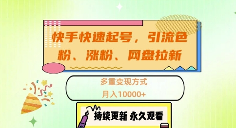 快手快速起号，引流s粉、涨粉、网盘拉新多重变现方式，月入1w【揭秘】-点子口袋网