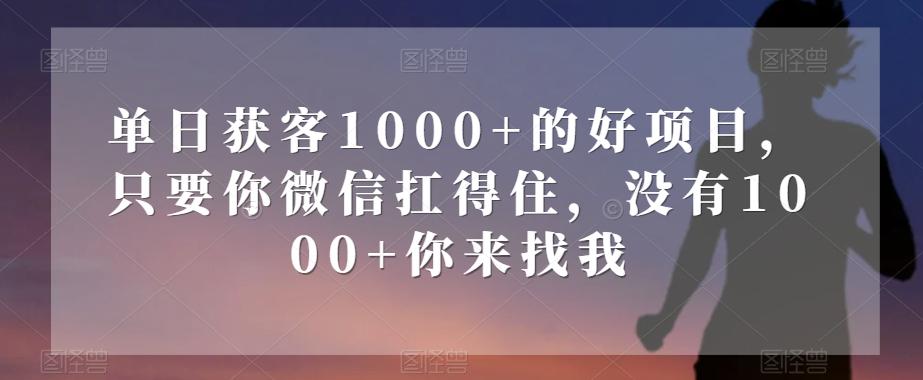 单日获客1000+的好项目，只要你微信扛得住，没有1000+你来找我【揭秘】-点子口袋网