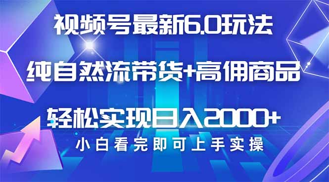 视频号带货最新6.0玩法，作品制作简单，当天起号，复制粘贴，轻松矩阵...-点子口袋网