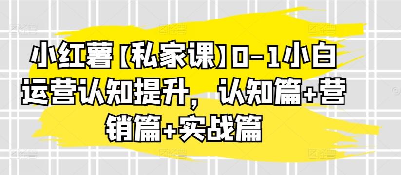 小红薯【私家课】0-1小白运营认知提升，认知篇+营销篇+实战篇-点子口袋网