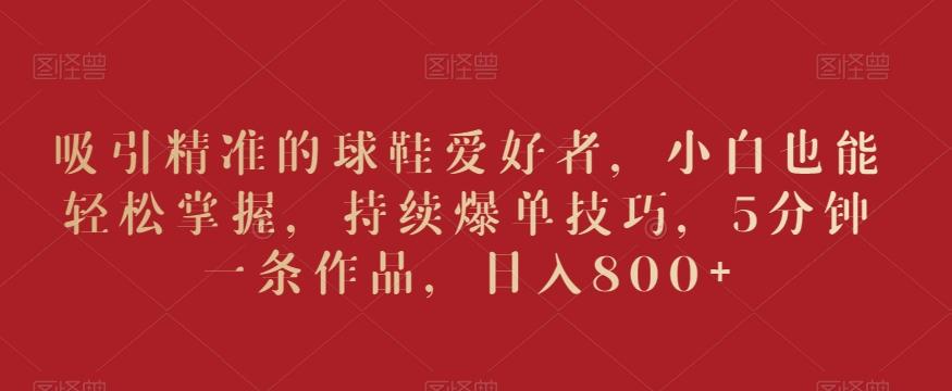 吸引精准的球鞋爱好者，小白也能轻松掌握，持续爆单技巧，5分钟一条作品，日入800+【揭秘】-点子口袋网