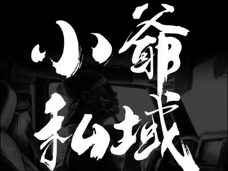 小爷·私域项目操盘手-点子口袋网