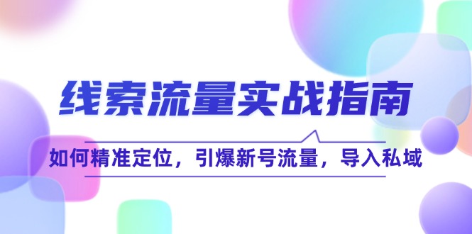 线 索 流 量-实战指南：如何精准定位，引爆新号流量，导入私域-点子口袋网