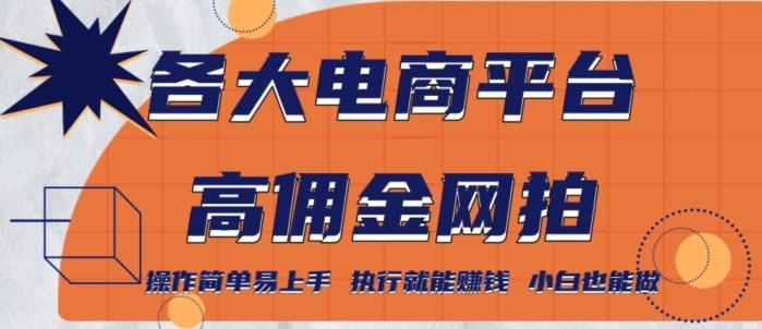 各大电商平台高佣金网拍，操作简单易上手，执行就能赚钱，小白也能做-点子口袋网