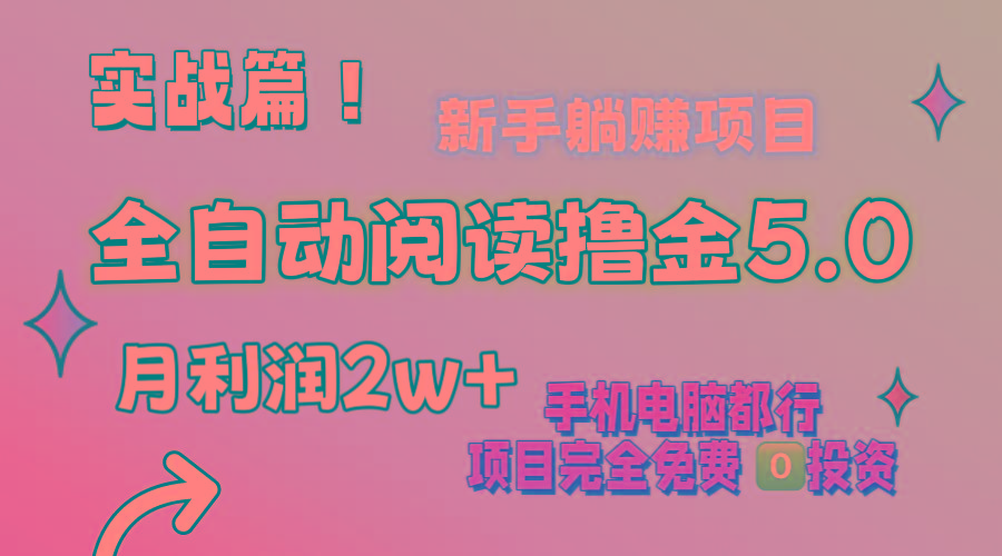 小说全自动阅读撸金5.0 操作简单 可批量操作 零门槛！小白无脑上手月入2w+-点子口袋网