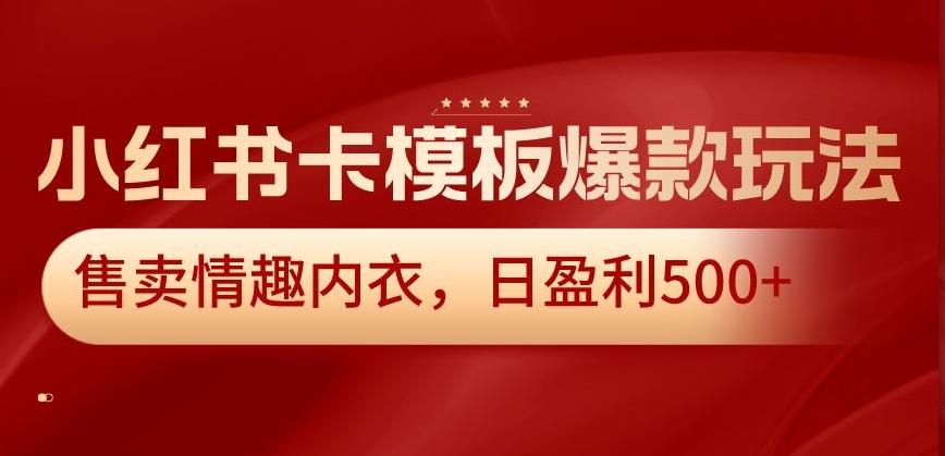 小红书卡模板爆款玩法，售卖情趣内衣，日盈利500+【揭秘】-点子口袋网