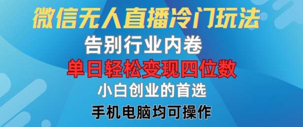 微信无人直播冷门玩法，告别行业内卷，单日轻松变现四位数，小白的创业首选【揭秘】-点子口袋网