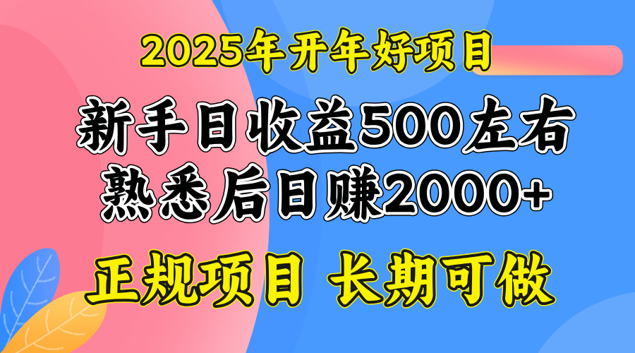 2025开年好项目，单号日收益2000左右-点子口袋网