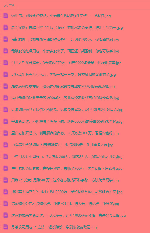 图片[3]-(9607期)真实有效391套商业模式，年入几十到几百万案例解析(电子书+视频+图文)-点子口袋网