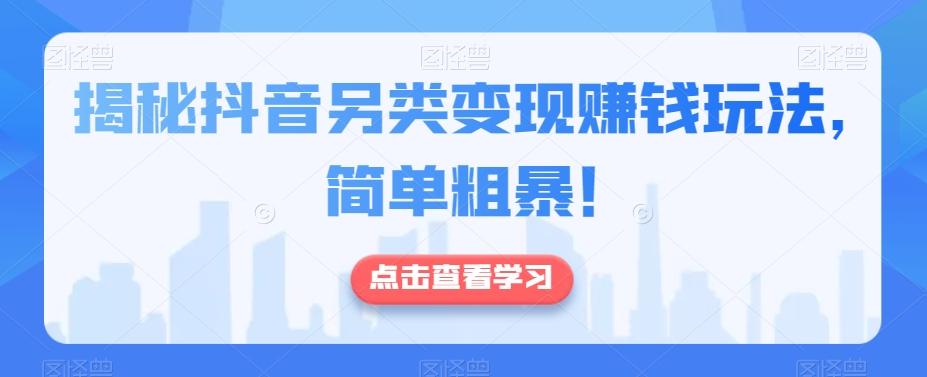 揭秘抖音另类变现赚钱玩法，简单粗暴！-点子口袋网