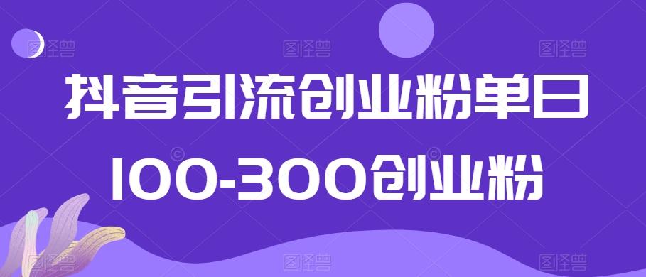 抖音引流创业粉单日100-300创业粉【揭秘】-点子口袋网